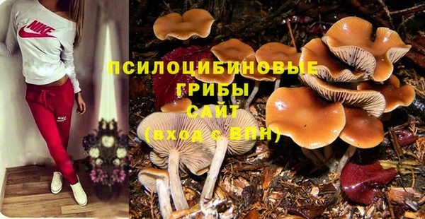 дживик Балабаново