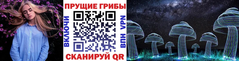 где продают наркотики Ершов Псилоцибиновые грибы прущие грибы